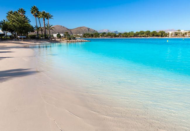 Apartamento en Port d´Alcudia - Nuevo apartamento de diseño frente a la Playa de Alcudia, WIFI, AA, Netflix, ... Apartamento en Port d´Alcudia - Nuevo apartamento de diseño frente a la Playa de Alcudia, WIFI, AA, Netflix, ...