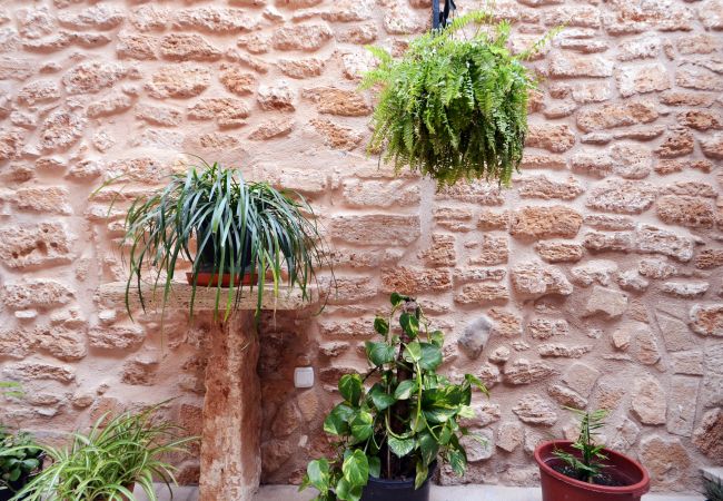 Casa en Alcúdia - Casa Ca Na Polida Casa en Alcúdia - Casa Ca Na Polida