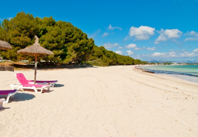 Apartamento en Port d´Alcudia - Apartamento Mar de Plata Apartamento en Port d´Alcudia - Apartamento Mar de Plata