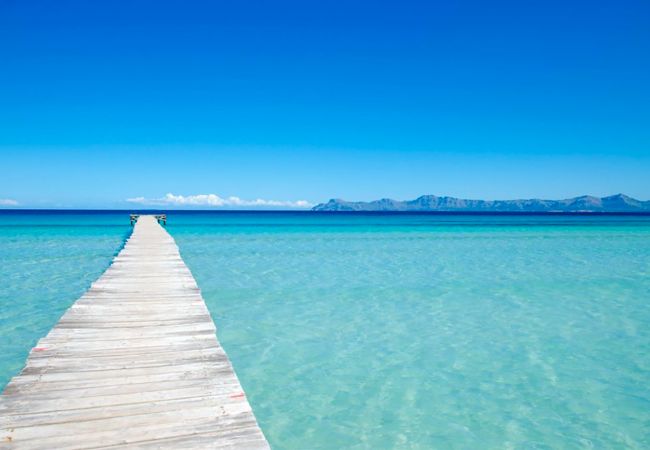 Apartamento en Port d´Alcudia - Apartamento Mar de Plata Apartamento en Port d´Alcudia - Apartamento Mar de Plata
