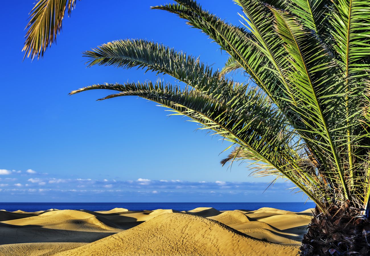 Apartamento en San Bartolomé de Tirajana - Las Adelfas South Beach 5 by CanariasGetaway