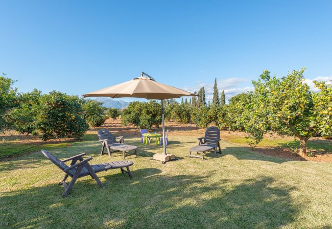 Villa en Llubi - Can Rafelino Villa en Llubi - Can Rafelino