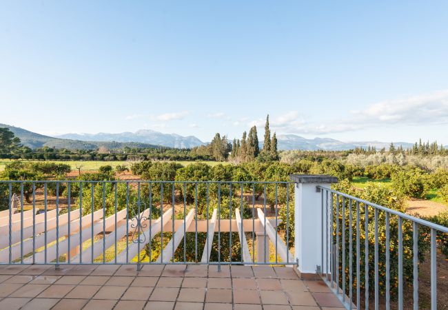 Villa en Llubi - Can Rafelino Villa en Llubi - Can Rafelino