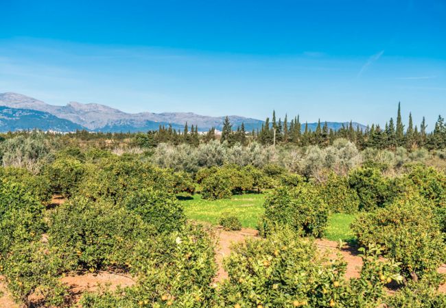 Villa en Llubi - Can Rafelino Villa en Llubi - Can Rafelino