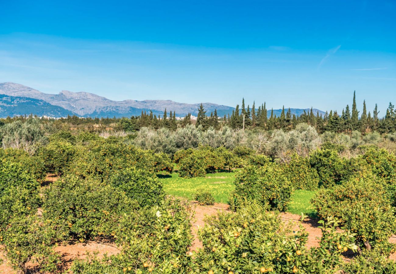 Villa en Llubi - Can Rafelino Villa en Llubi - Can Rafelino