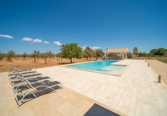 Villa en Binissalem - Villa Mireia 2002 Villa en Binissalem - Villa Mireia 2002