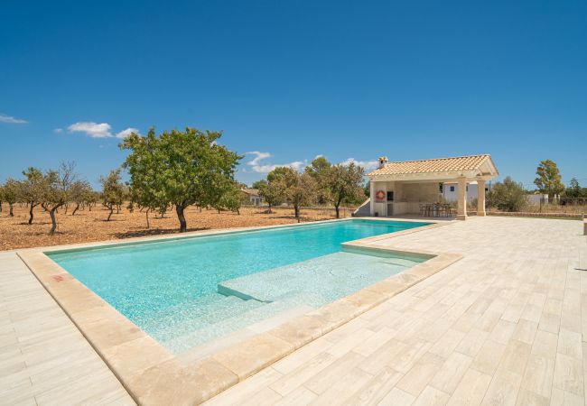 Villa en Binissalem - Villa Mireia 2002 Villa en Binissalem - Villa Mireia 2002