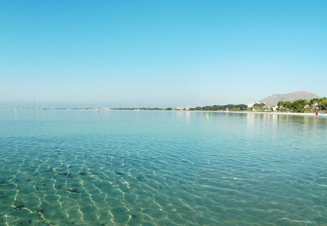 Apartamento en Alcúdia - Xara New Apartamento en Alcúdia - Xara New