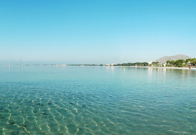 Ferienwohnung in Port d´Alcudia - Apartamento Corales de Mar Ferienwohnung in Port d´Alcudia - Apartamento Corales de Mar