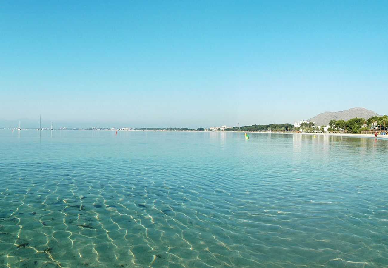 Ferienwohnung in Port d´Alcudia - Apartamento Corales de Mar
