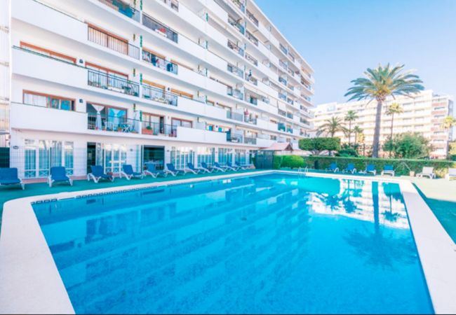 Ferienwohnung in Alcúdia - Apartamento Arcoiris Ferienwohnung in Alcúdia - Apartamento Arcoiris