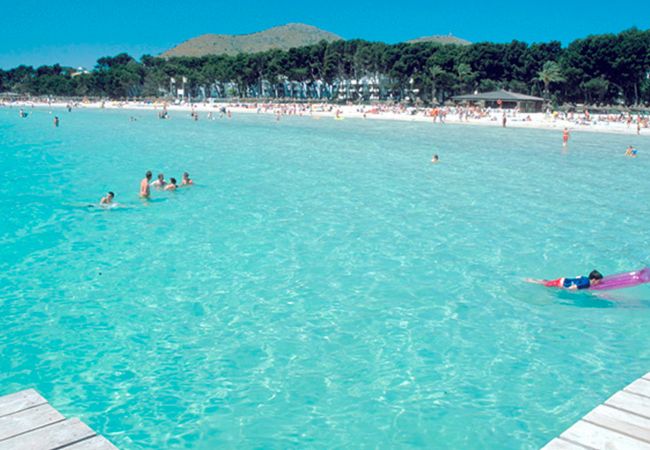 Ferienwohnung in Alcúdia - Apartamento Xara Ferienwohnung in Alcúdia - Apartamento Xara