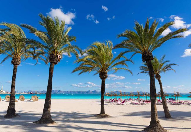 Ferienwohnung in Alcúdia - Apartamento Xara Ferienwohnung in Alcúdia - Apartamento Xara