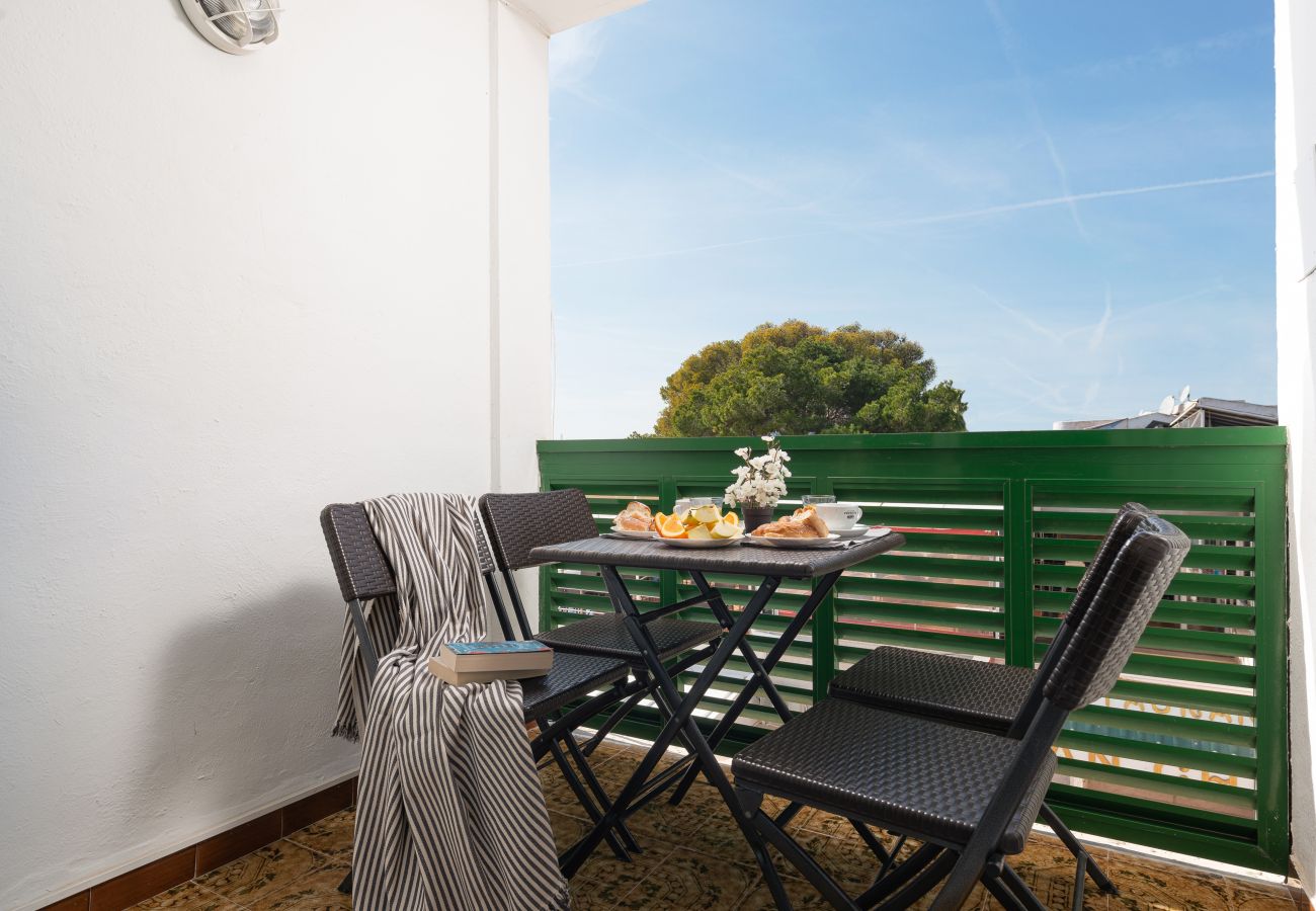 Ferienwohnung in Alcudia - Apartamento Xara Ferienwohnung in Alcudia - Apartamento Xara