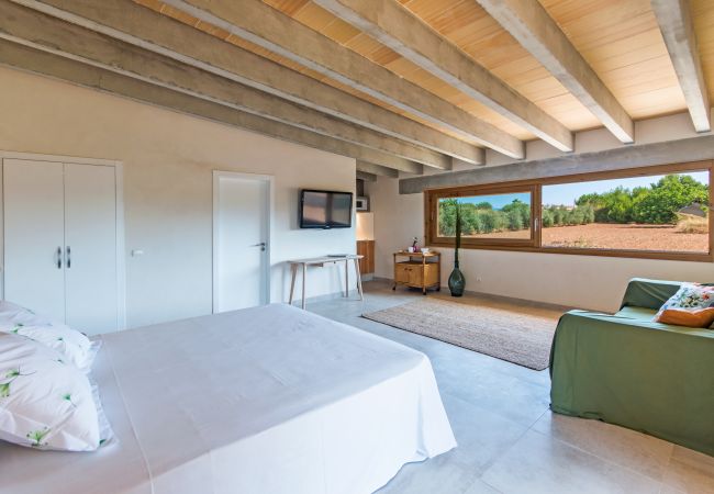 Villa in Alcúdia - Villa Barcares Gran Villa in Alcúdia - Villa Barcares Gran