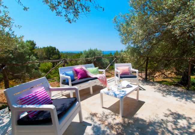 Villa in Alcúdia - Finca Sa Rota Villa in Alcúdia - Finca Sa Rota