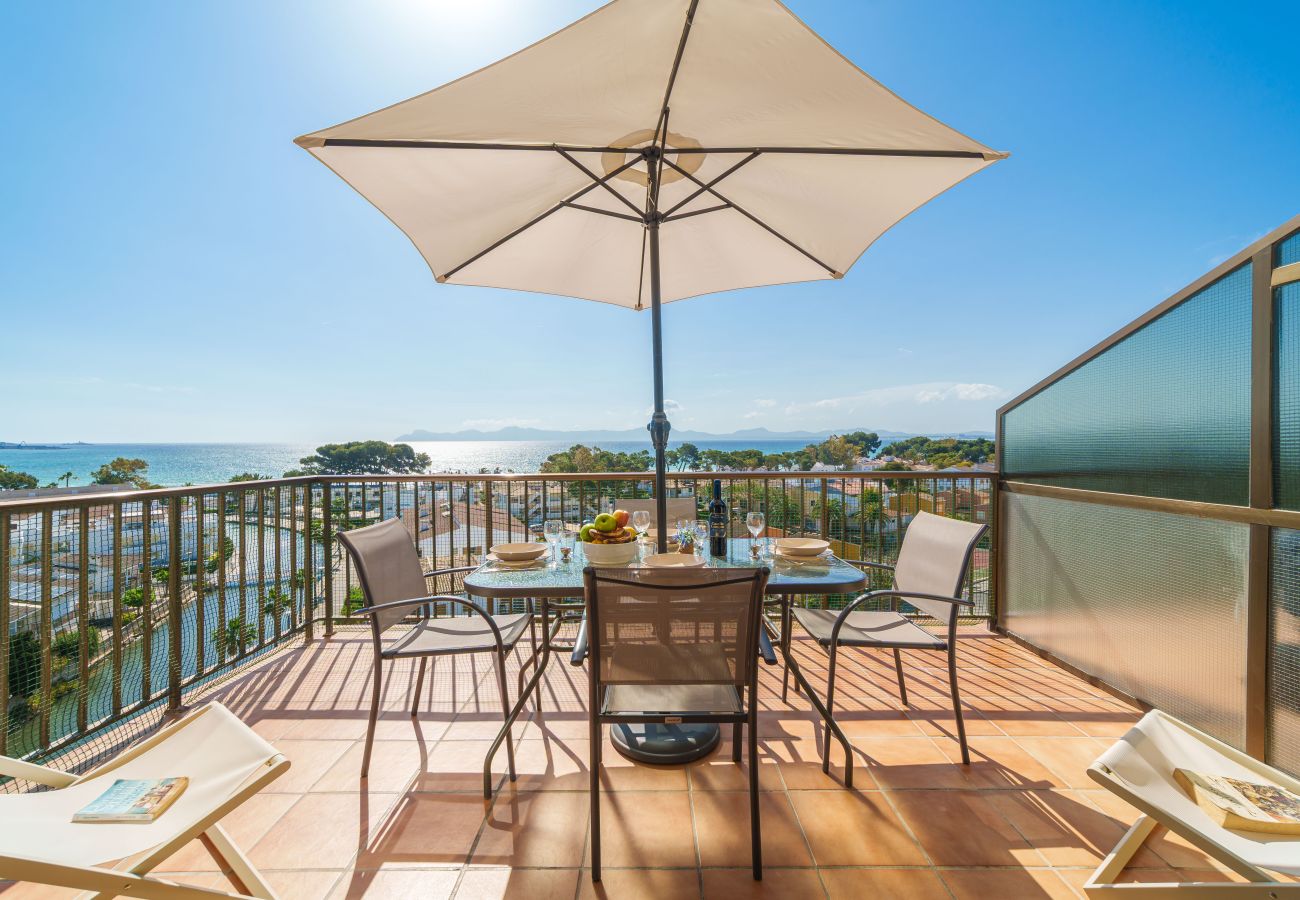 Ferienwohnung in Alcudia - Apartamento The Shell 2