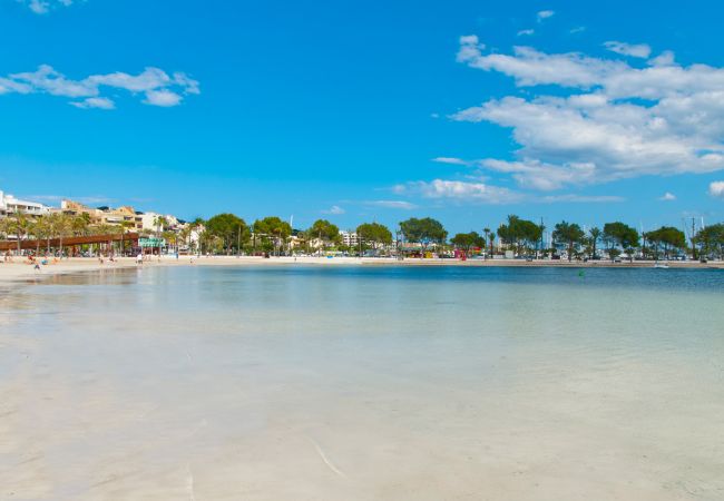 Ferienwohnung in Port d´Alcudia - Apartamento Mar de Plata Ferienwohnung in Port d´Alcudia - Apartamento Mar de Plata