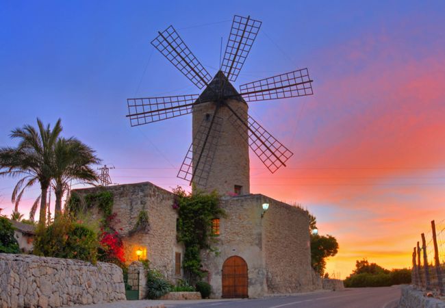 Villa in Binissalem - Villa Es Velar de Binissalem Villa in Binissalem - Villa Es Velar de Binissalem