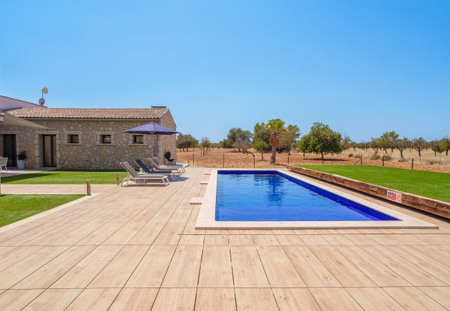 Villa in Binissalem - Villa Es Velar de Binissalem Villa in Binissalem - Villa Es Velar de Binissalem