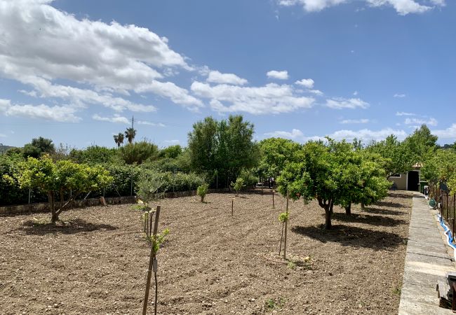 Villa in Selva - Finca Son Macia de Selva Villa in Selva - Finca Son Macia de Selva