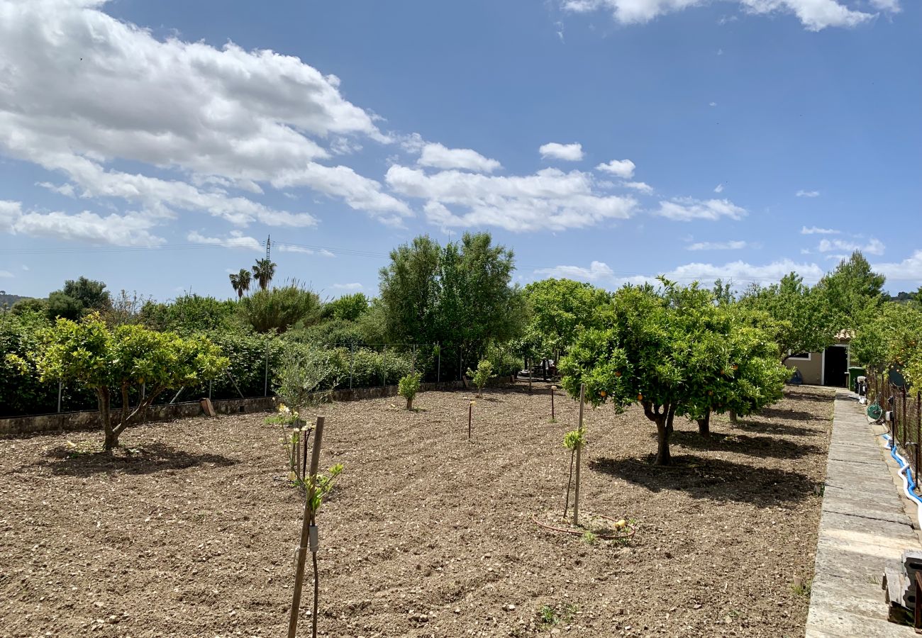 Villa in Selva - Finca Son Macia de Selva Villa in Selva - Finca Son Macia de Selva