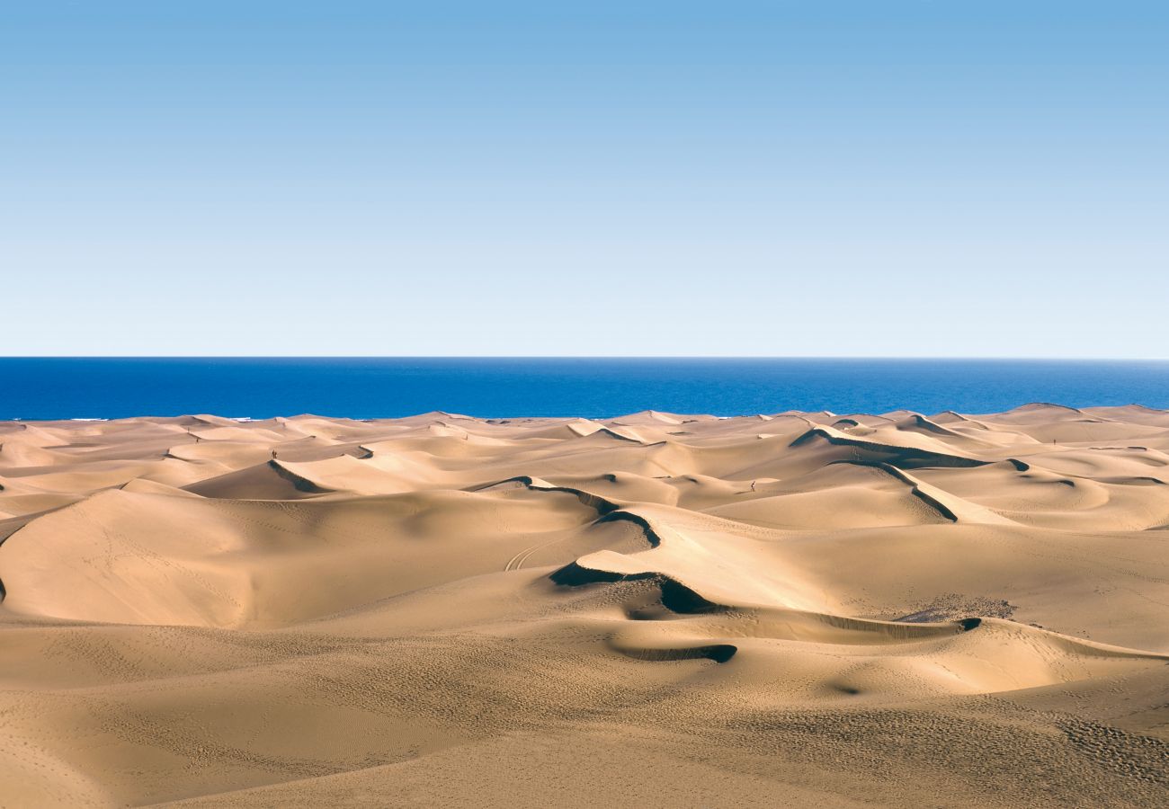 Ferienhaus in Las Palmas de Gran Canaria - Eli Home on the beach+Parking + Airco by CanariasGetaway Ferienhaus in Las Palmas de Gran Canaria - Eli Home on the beach+Parking + Airco by CanariasGetaway