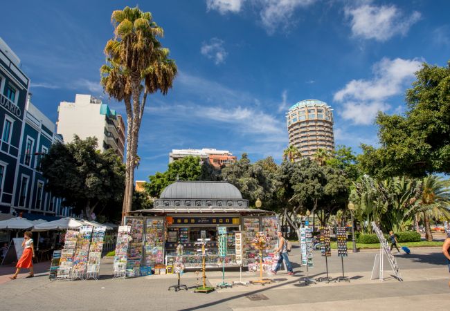 Ferienhaus in Las Palmas de Gran Canaria - Design in the Midtown by CanariasGetaway Ferienhaus in Las Palmas de Gran Canaria - Design in the Midtown by CanariasGetaway