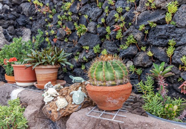 Ferienhaus in Moya - Mari House With Jacuzzi and BBQ by CanariasGetaway Ferienhaus in Moya - Mari House With Jacuzzi and BBQ by CanariasGetaway