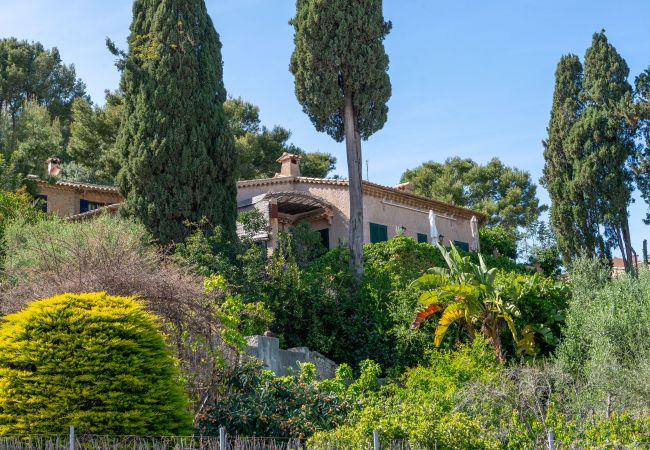 Ferienhaus in Pollensa - Casa Bonavista by BeBreeze Ferienhaus in Pollensa - Casa Bonavista by BeBreeze