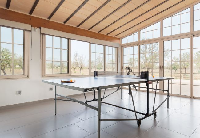 Villa in Binissalem - Villa Mireia 2002 Villa in Binissalem - Villa Mireia 2002