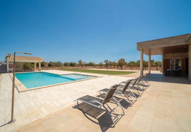 Villa in Binissalem - Villa Mireia 2002 Villa in Binissalem - Villa Mireia 2002