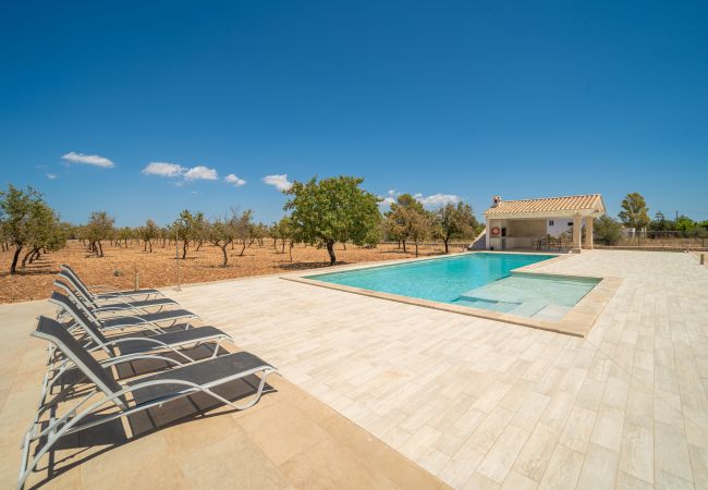 Villa in Binissalem - Villa Mireia 2002 Villa in Binissalem - Villa Mireia 2002