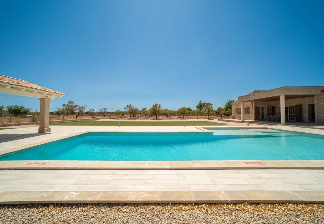 Villa in Binissalem - Villa Mireia 2002 Villa in Binissalem - Villa Mireia 2002