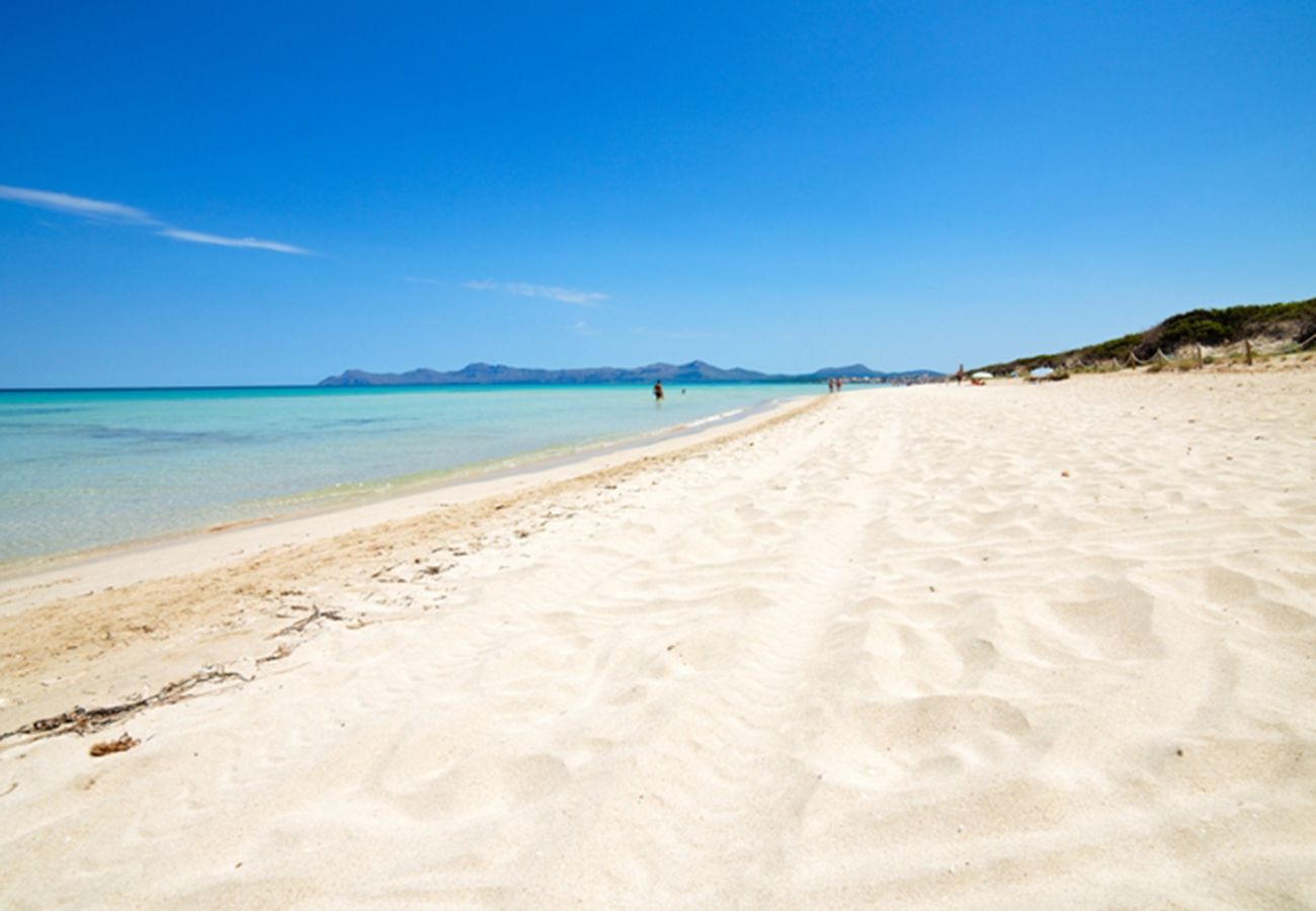 Ferienwohnung in Alcudia - Apartment Oiza Garden NEW at the beach (Bahía Blanca) by BeBreeze