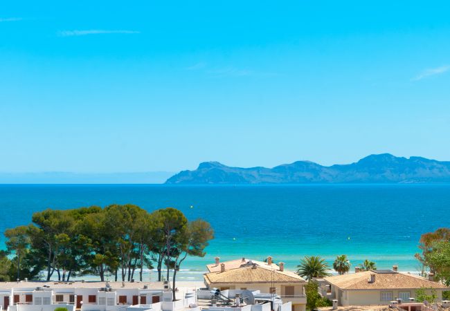 Ferienwohnung in Alcúdia - The Shell New Ferienwohnung in Alcúdia - The Shell New