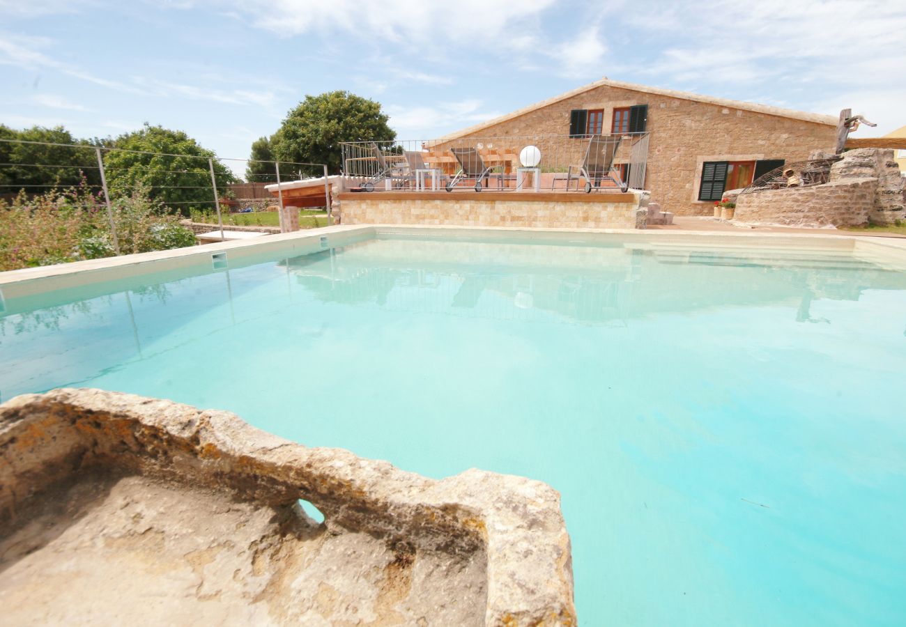 Villa in Alcudia - Villa Barcares Petit für 6 von BeBreeze