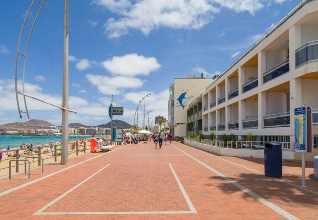 Studio in Las Palmas de Gran Canaria - Great terrace sea views By CanariasGetaway  Studio in Las Palmas de Gran Canaria - Great terrace sea views By CanariasGetaway