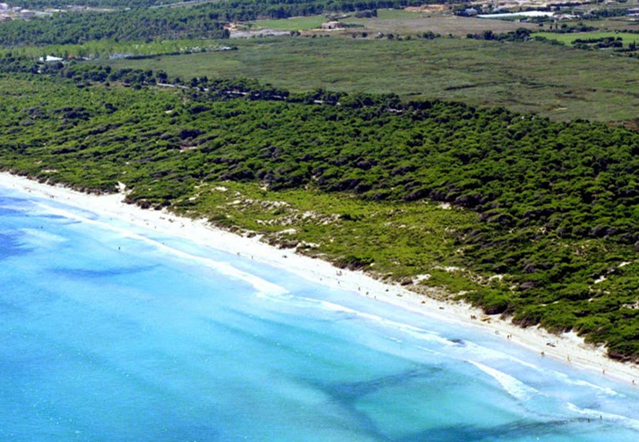 Apartment in Alcudia - Apartment Oiza Sand Castle 23 by BeBreeze