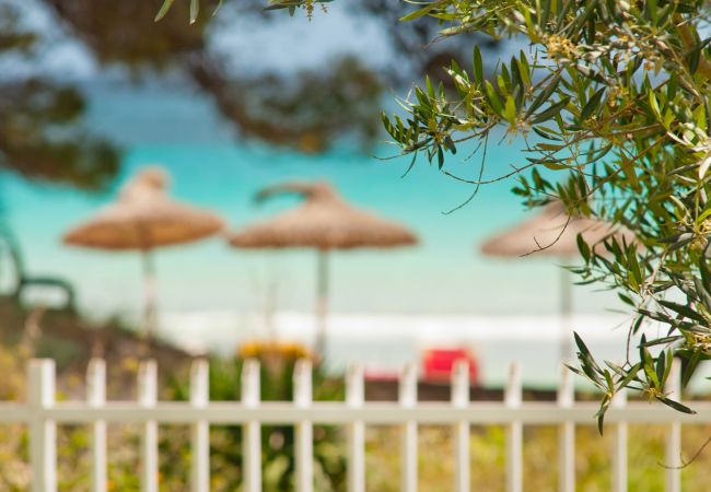 Apartment in Alcudia - Apartamento Countess Attic 2.3 (Sun of the Bay Vidalba 3) Apartment in Alcudia - Apartamento Countess Attic 2.3 (Sun of the Bay Vidalba 3)