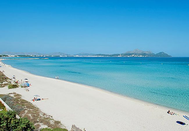 Apartment in Alcudia - Apartamento Countess Attic 2.3 (Sun of the Bay Vidalba 3) Apartment in Alcudia - Apartamento Countess Attic 2.3 (Sun of the Bay Vidalba 3)