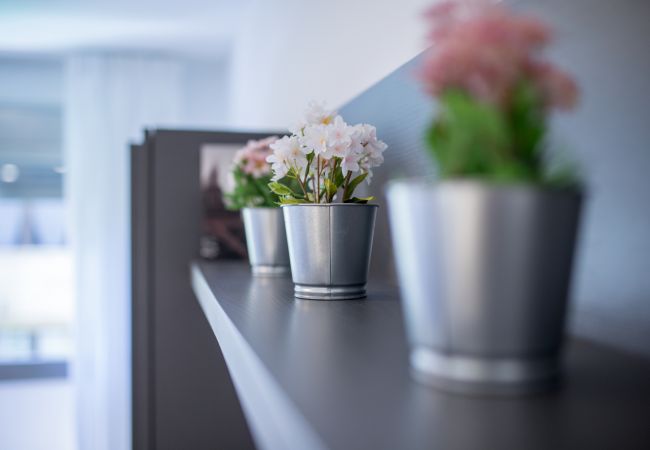 House in Las Palmas de Gran Canaria -  Ferreras Canteras Home By CanariasGetaway House in Las Palmas de Gran Canaria -  Ferreras Canteras Home By CanariasGetaway