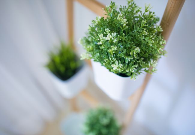 House in Las Palmas de Gran Canaria -  Ferreras Canteras Home By CanariasGetaway House in Las Palmas de Gran Canaria -  Ferreras Canteras Home By CanariasGetaway