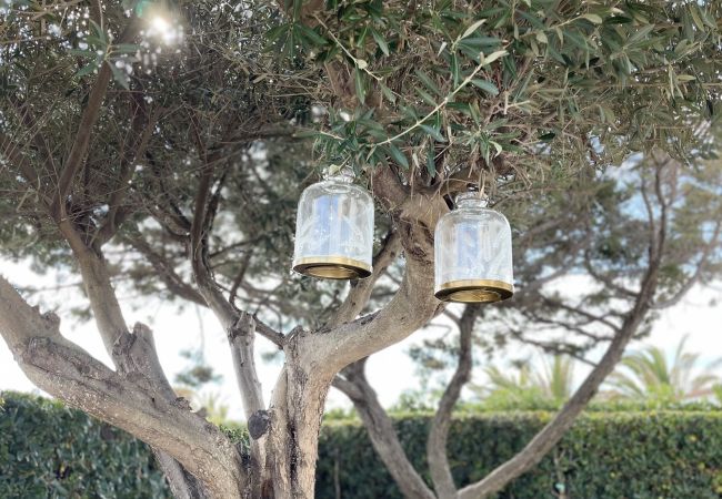 Villa in Cap d´Artruix - villa Lirio  Villa in Cap d´Artruix - villa Lirio