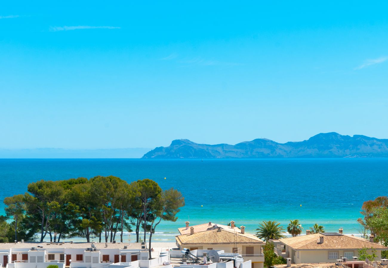 Apartment in Alcudia - The Shell New