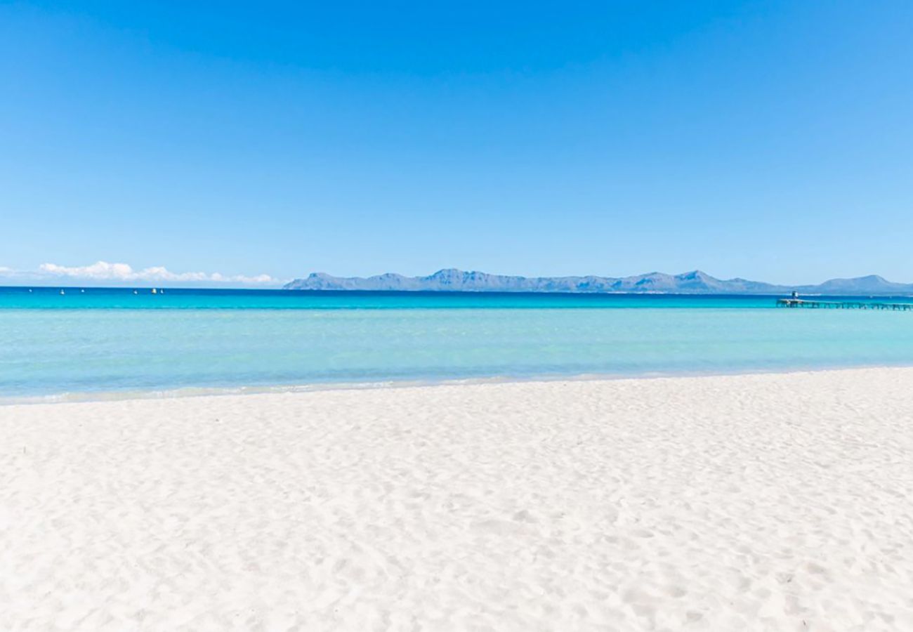 Apartment in Alcudia - The Shell New