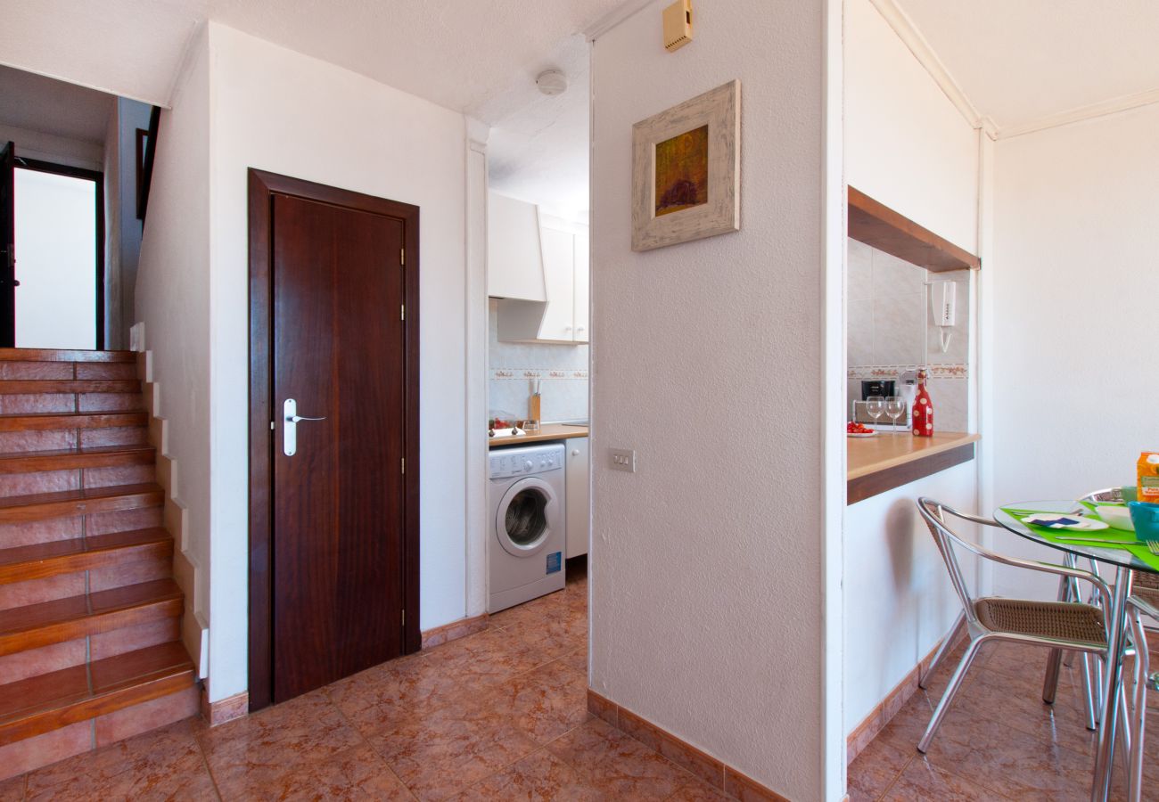 Apartment in Alcudia - The Shell New