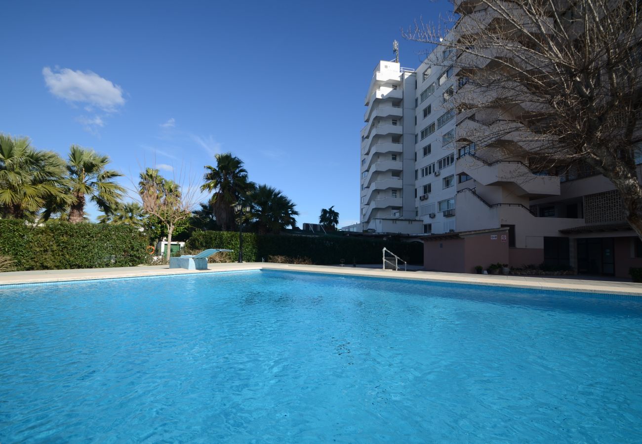 Apartment in Alcudia - The Shell New