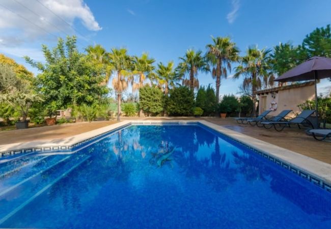 Villa in Lloseta - Cas Padrins - Els Niguls