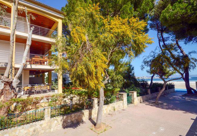 Ferienwohnung in Alcudia - Minerva Dream Attic Ferienwohnung in Alcudia - Minerva Dream Attic